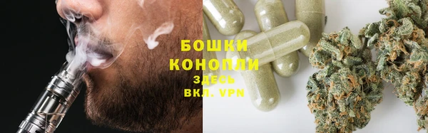 бошки Алексин