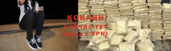 сатива Алзамай