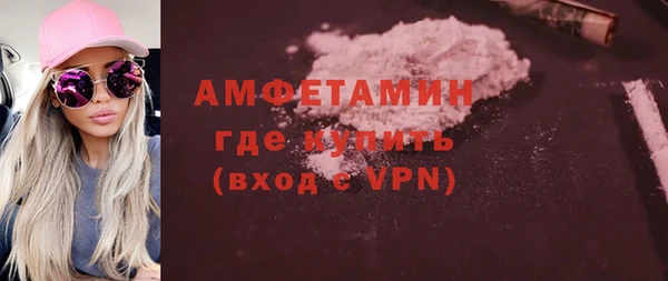 шишки Абаза
