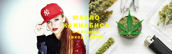 шишки Абаза