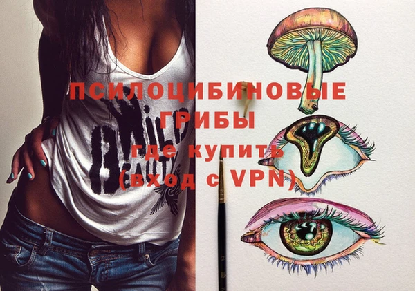 сатива Алзамай