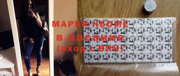 шишки Абаза